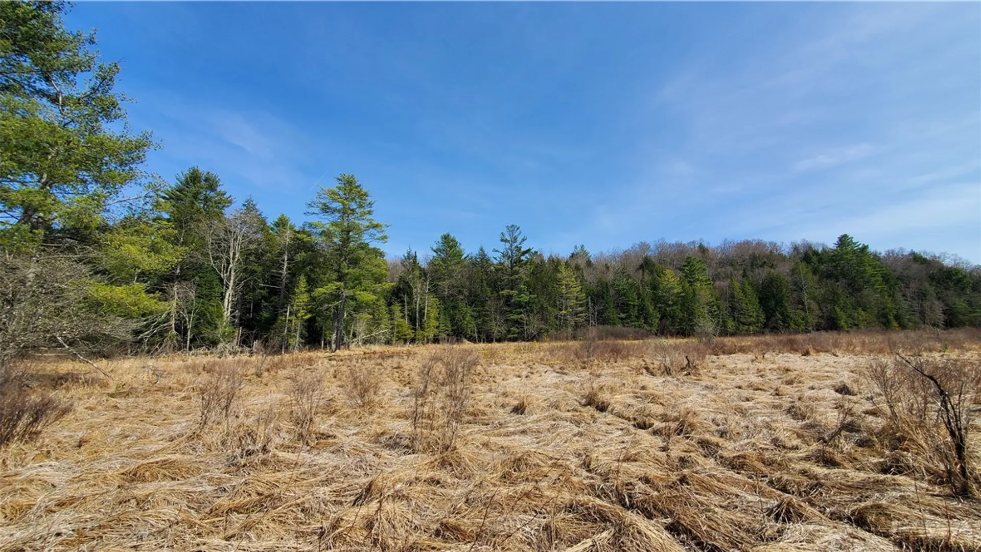 Property at Lot #10 Goddards Road, New Lisbon, NY 13810 16