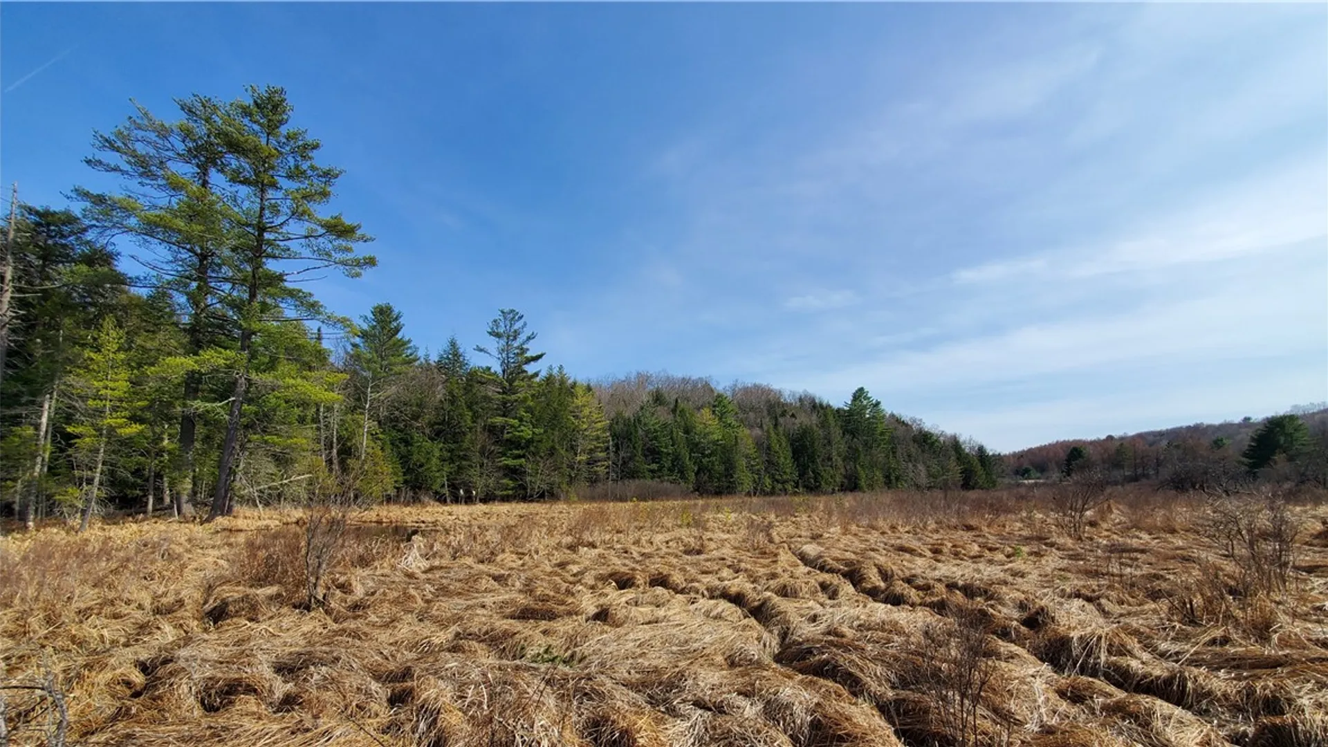 Property at Lot #10 Goddards Road, New Lisbon, NY 13810 17