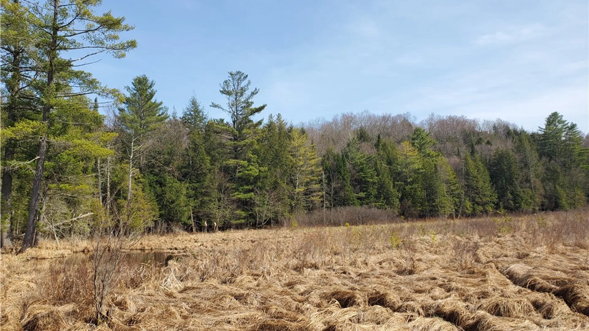 Property at Lot #10 Goddards Road, New Lisbon, NY 13810 18