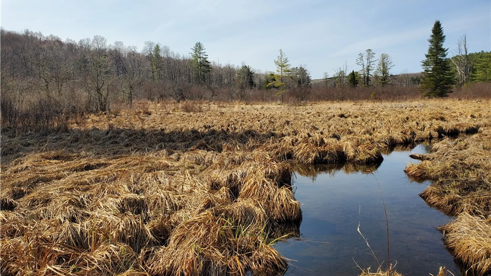 Property at Lot #10 Goddards Road, New Lisbon, NY 13810 20