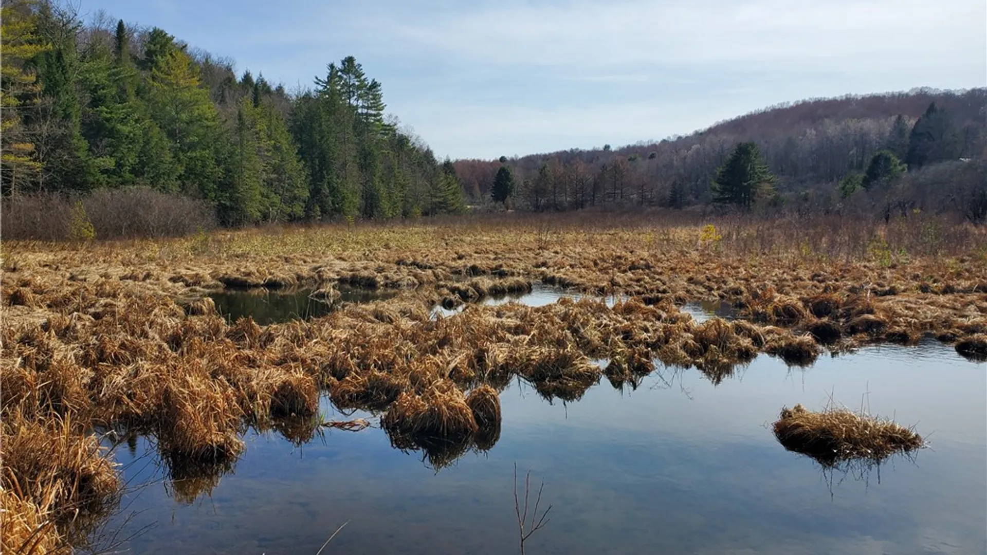 Property at Lot #10 Goddards Road, New Lisbon, NY 13810 23