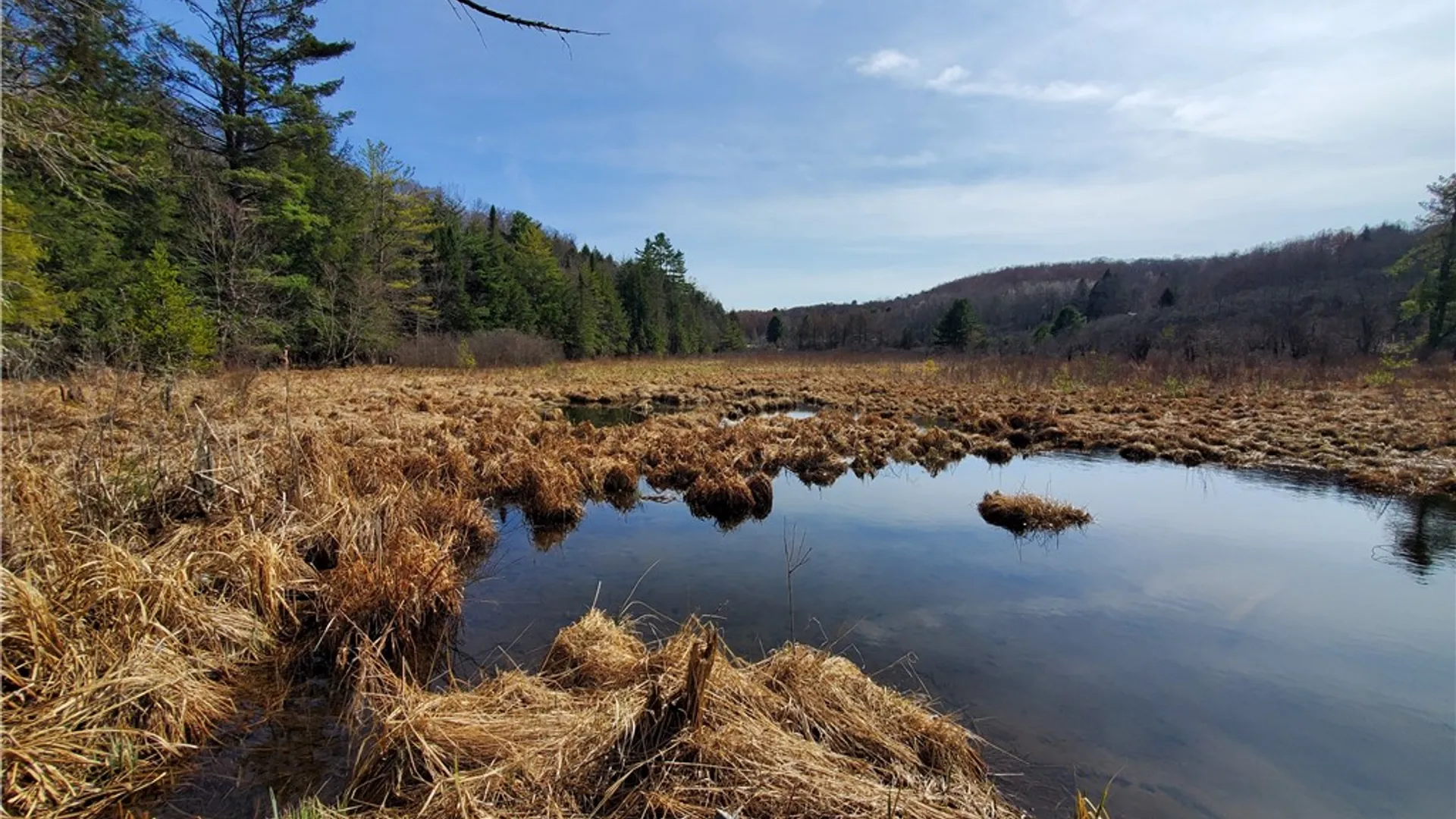 Property at Lot #10 Goddards Road, New Lisbon, NY 13810 24