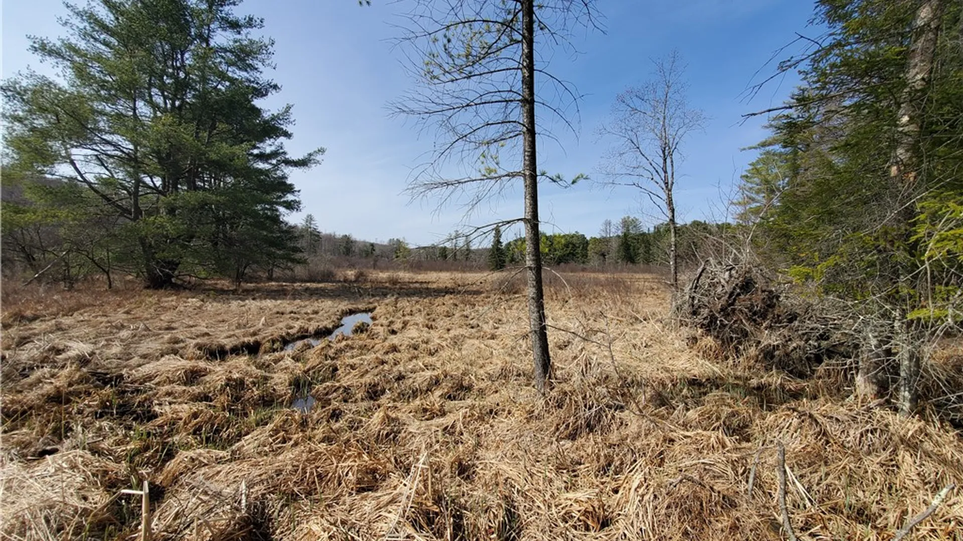 Property at Lot #10 Goddards Road, New Lisbon, NY 13810 25