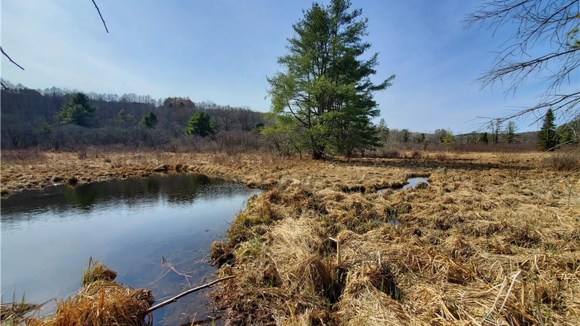 Property at Lot #10 Goddards Road, New Lisbon, NY 13810 26