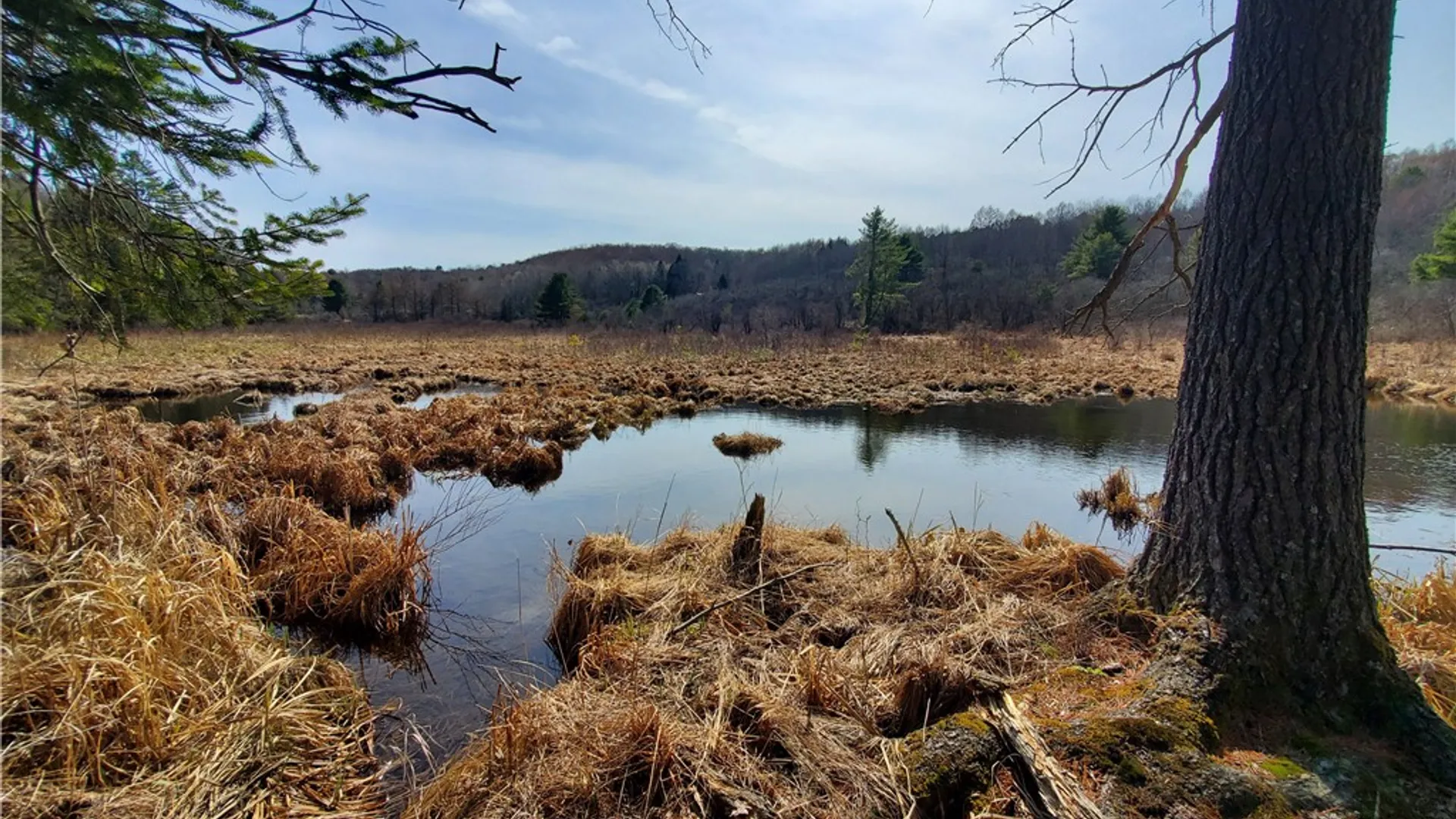 Property at Lot #10 Goddards Road, New Lisbon, NY 13810 27