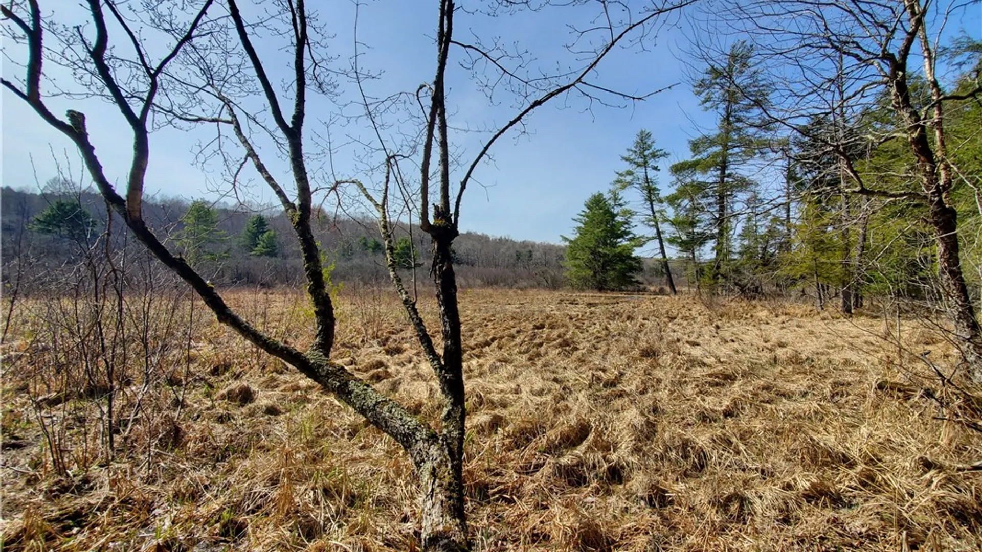 Property at Lot #10 Goddards Road, New Lisbon, NY 13810 28