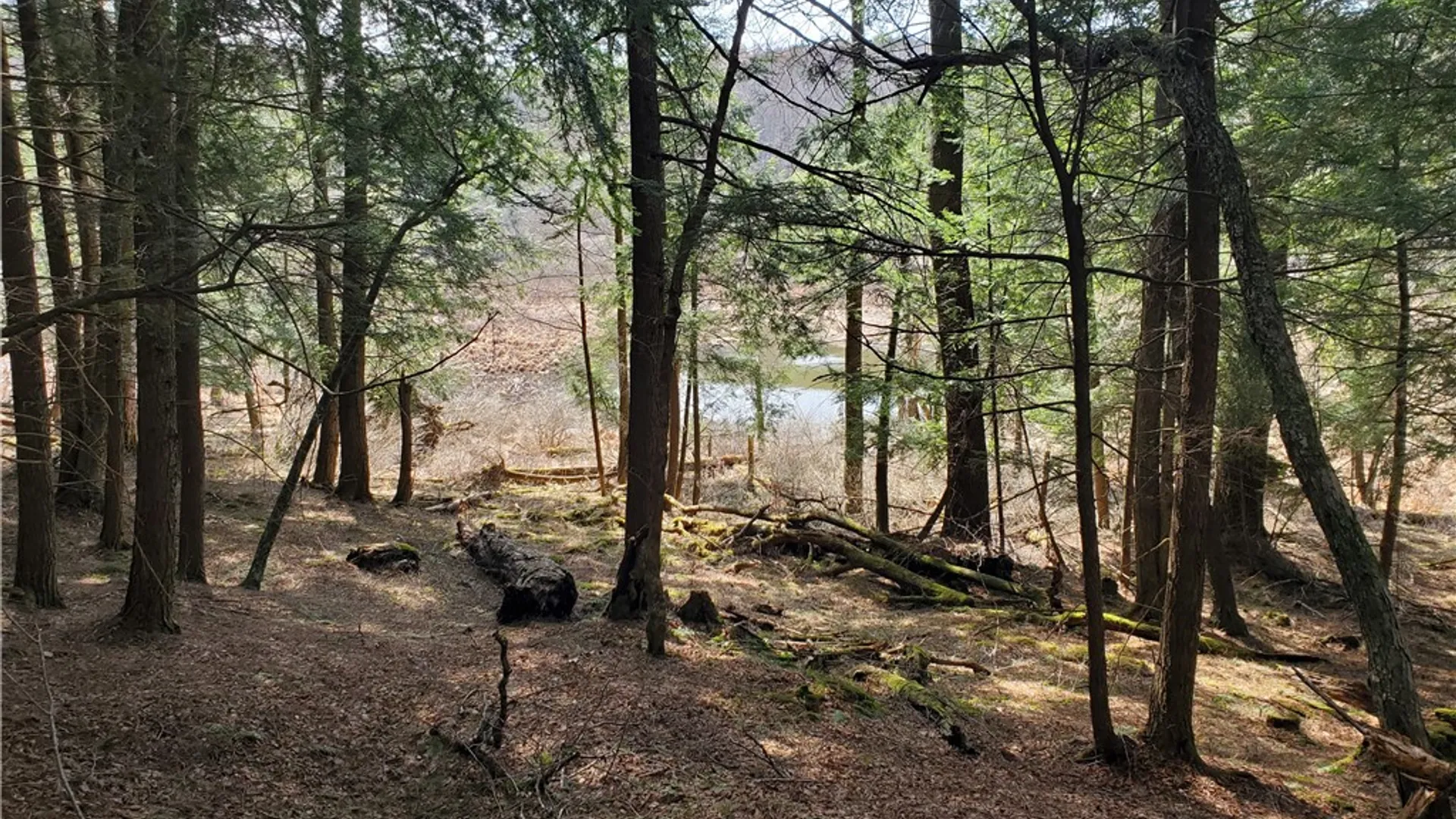 Property at Lot #10 Goddards Road, New Lisbon, NY 13810 30