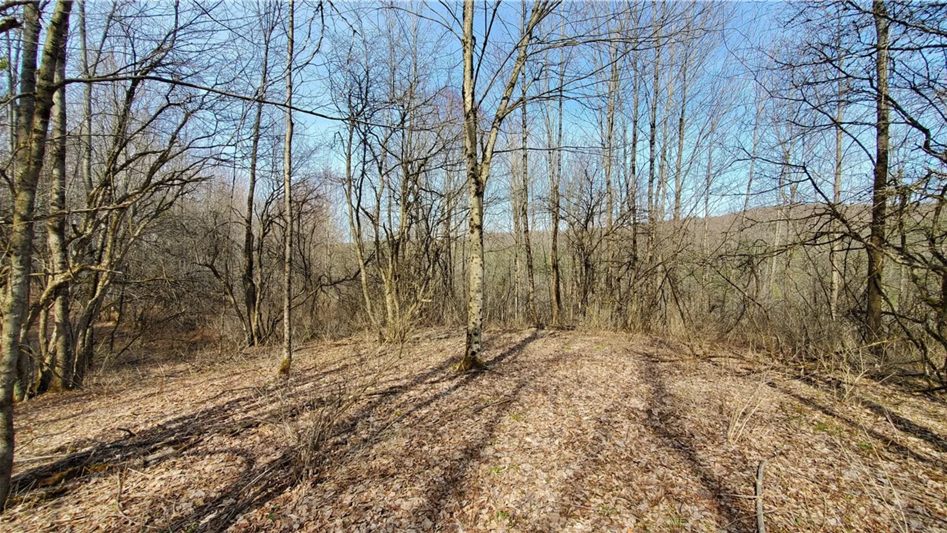 Property at Lot #10 Goddards Road, New Lisbon, NY 13810 5