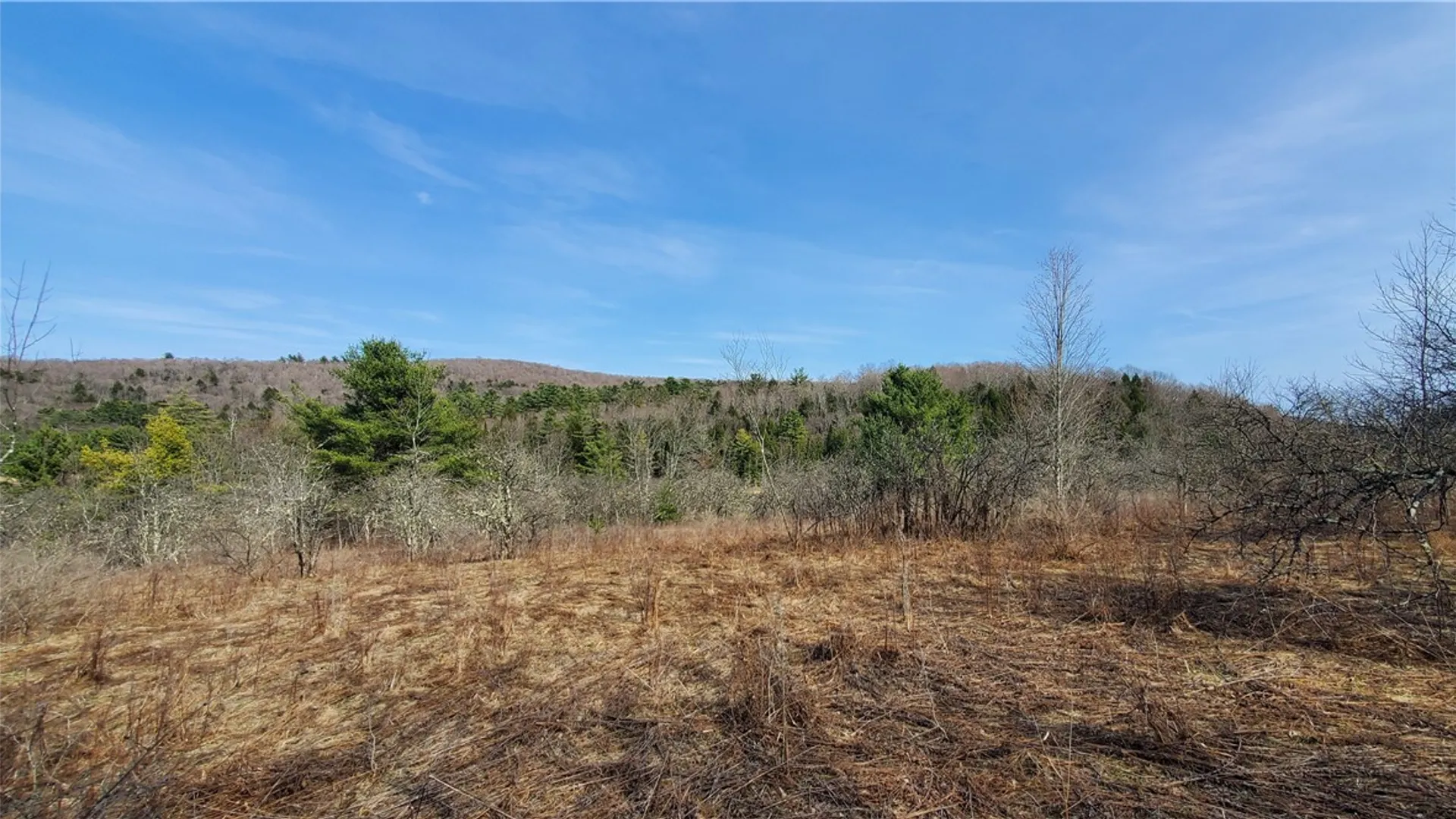 Property at Lot #10 Goddards Road, New Lisbon, NY 13810 6