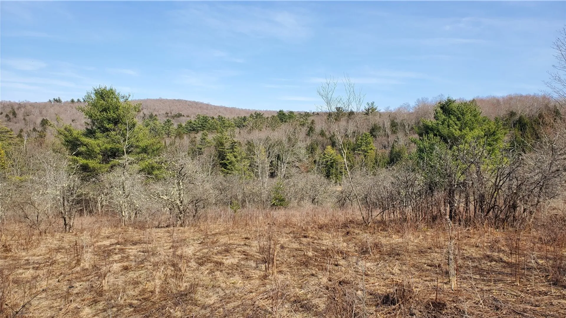 Property at Lot #10 Goddards Road, New Lisbon, NY 13810 7