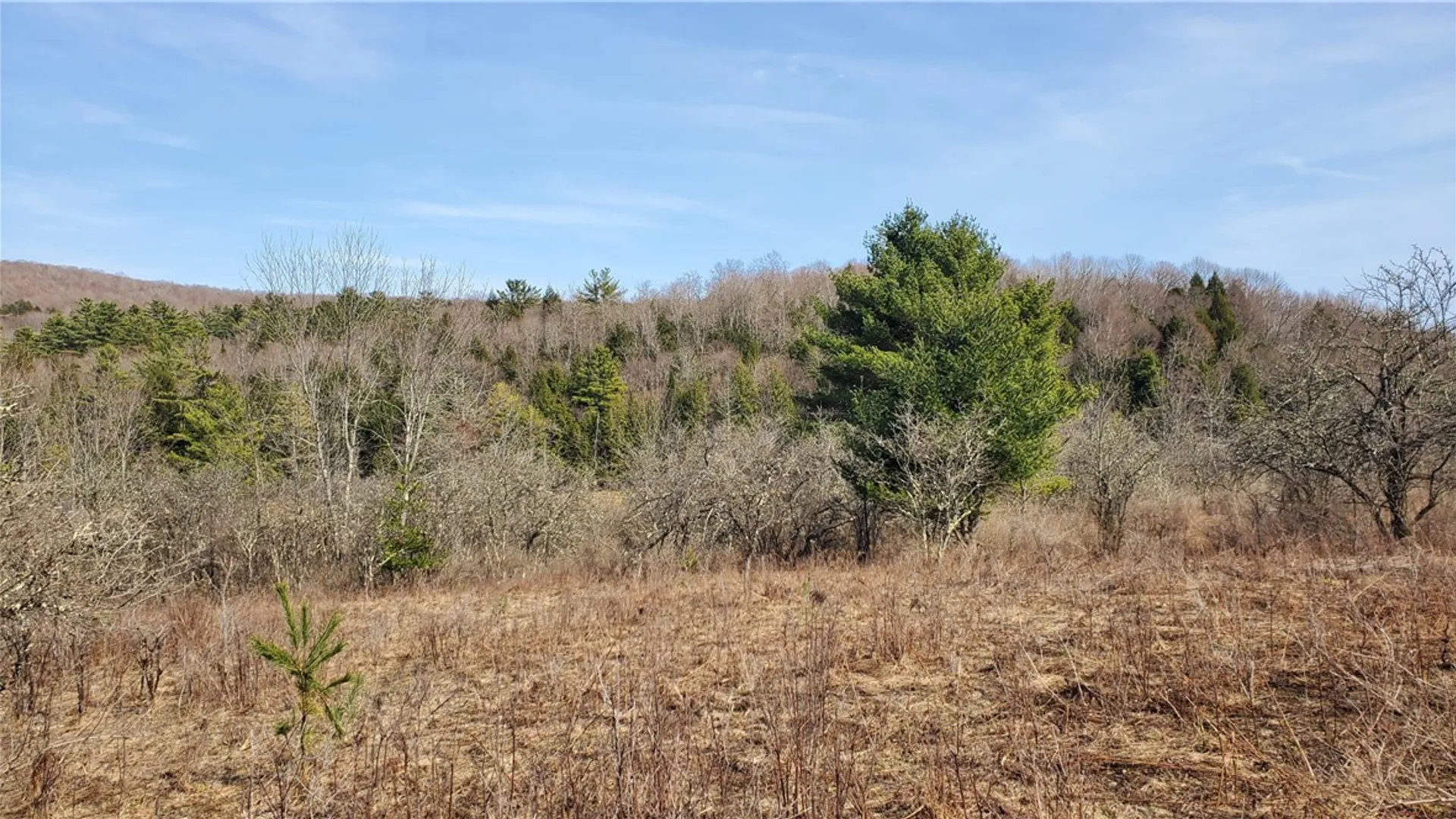 Property at Lot #10 Goddards Road, New Lisbon, NY 13810 8