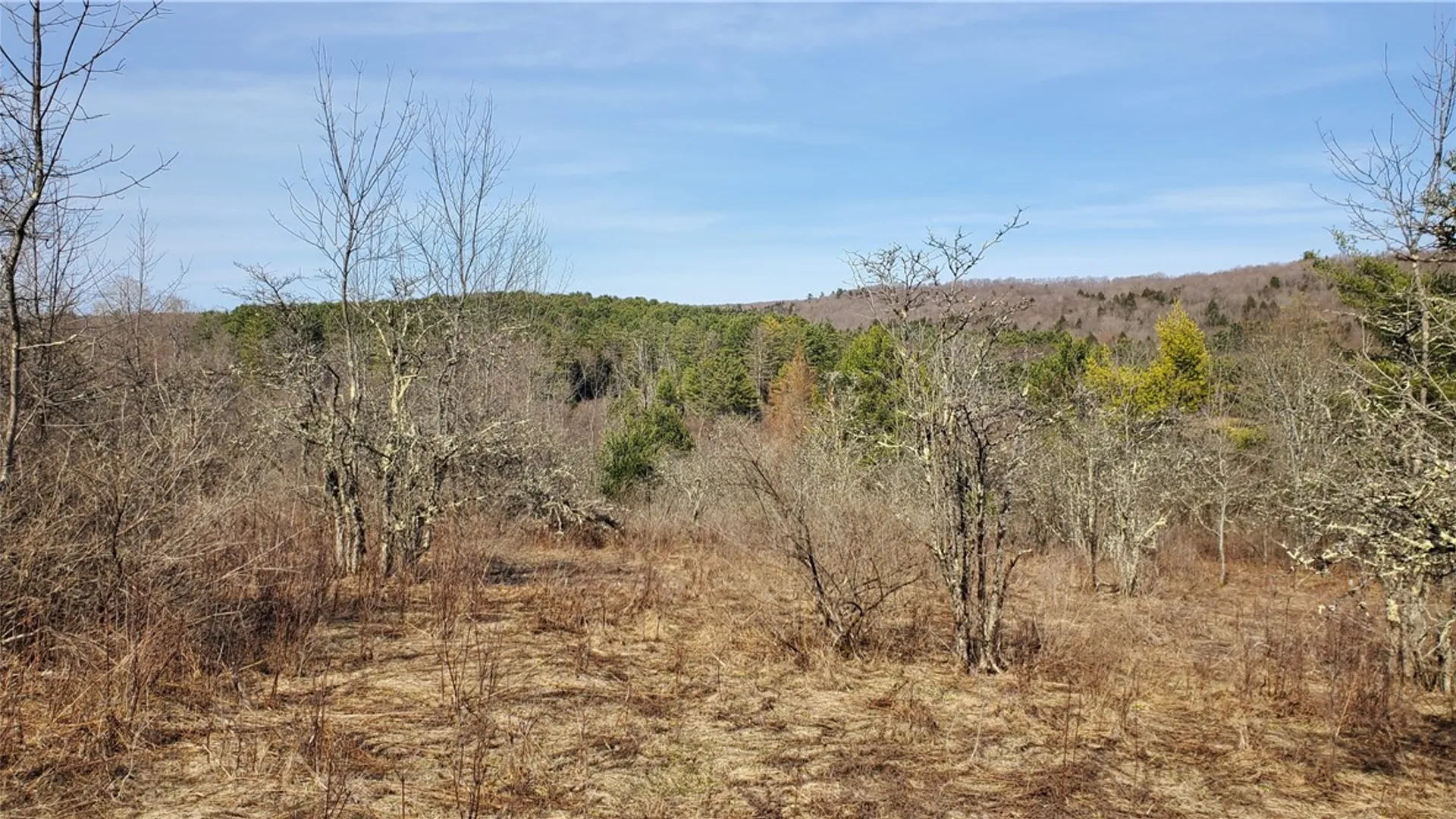 Property at Lot #10 Goddards Road, New Lisbon, NY 13810 9