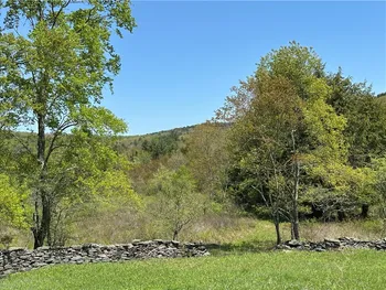 Property at Bull Run Road, Middletown, NY 12455