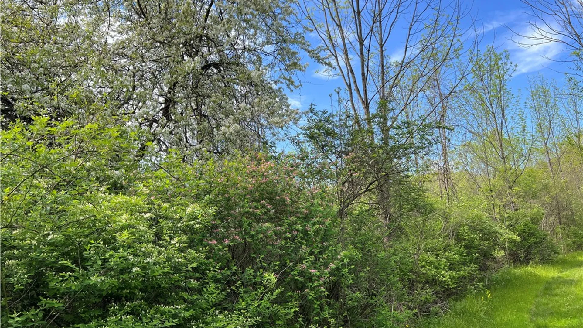 Property at 200 Burritt Road, Parma, NY 14468 10