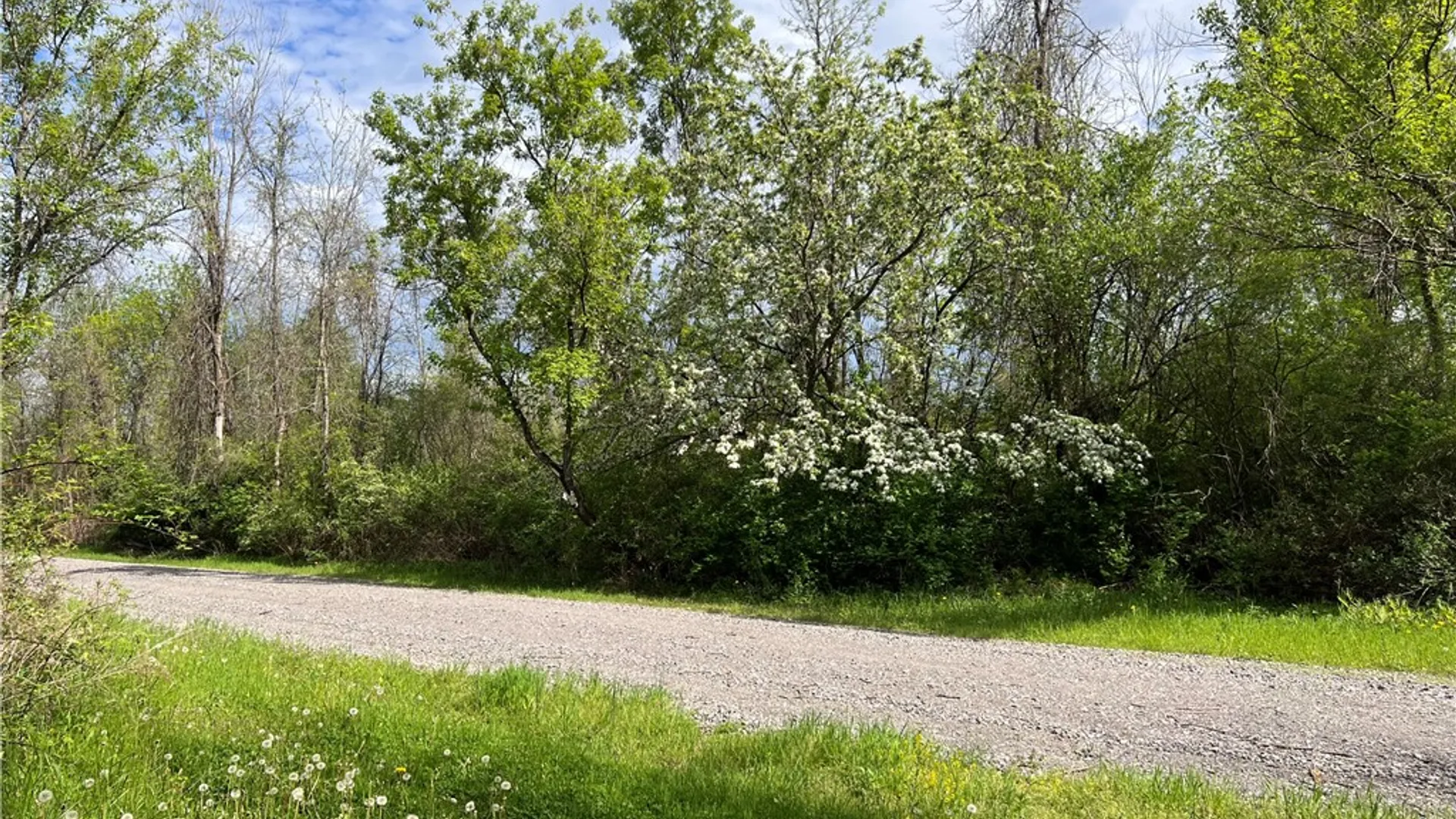 Property at 200 Burritt Road, Parma, NY 14468 11