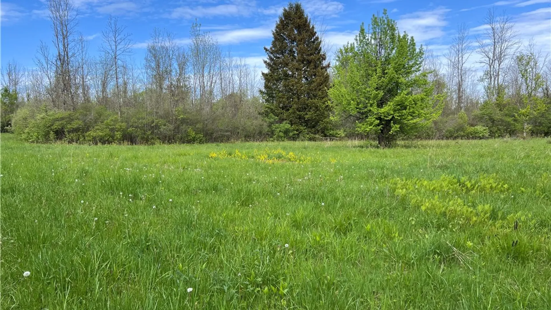 Property at 200 Burritt Road, Parma, NY 14468 4