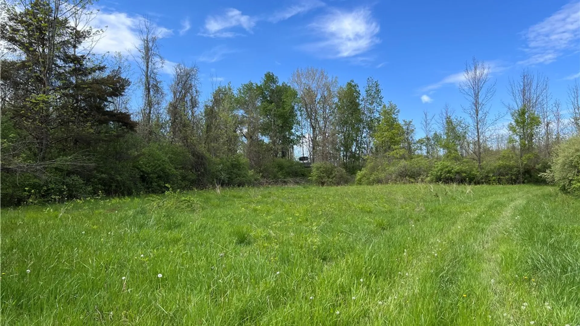 Property at 200 Burritt Road, Parma, NY 14468 5