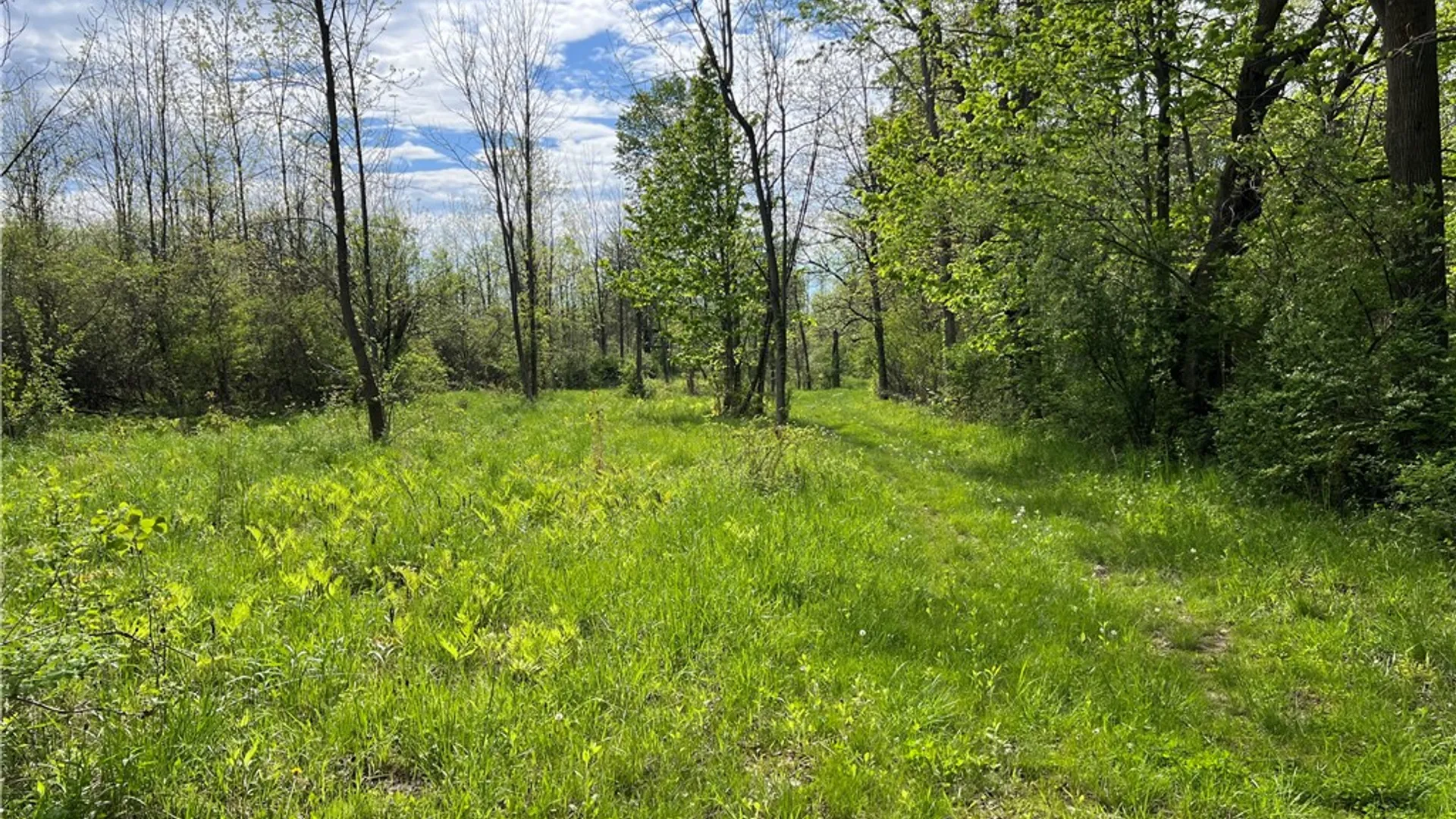 Property at 200 Burritt Road, Parma, NY 14468 7