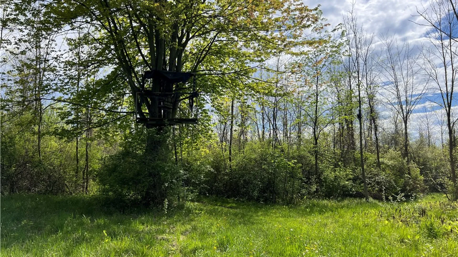 Property at 200 Burritt Road, Parma, NY 14468 8