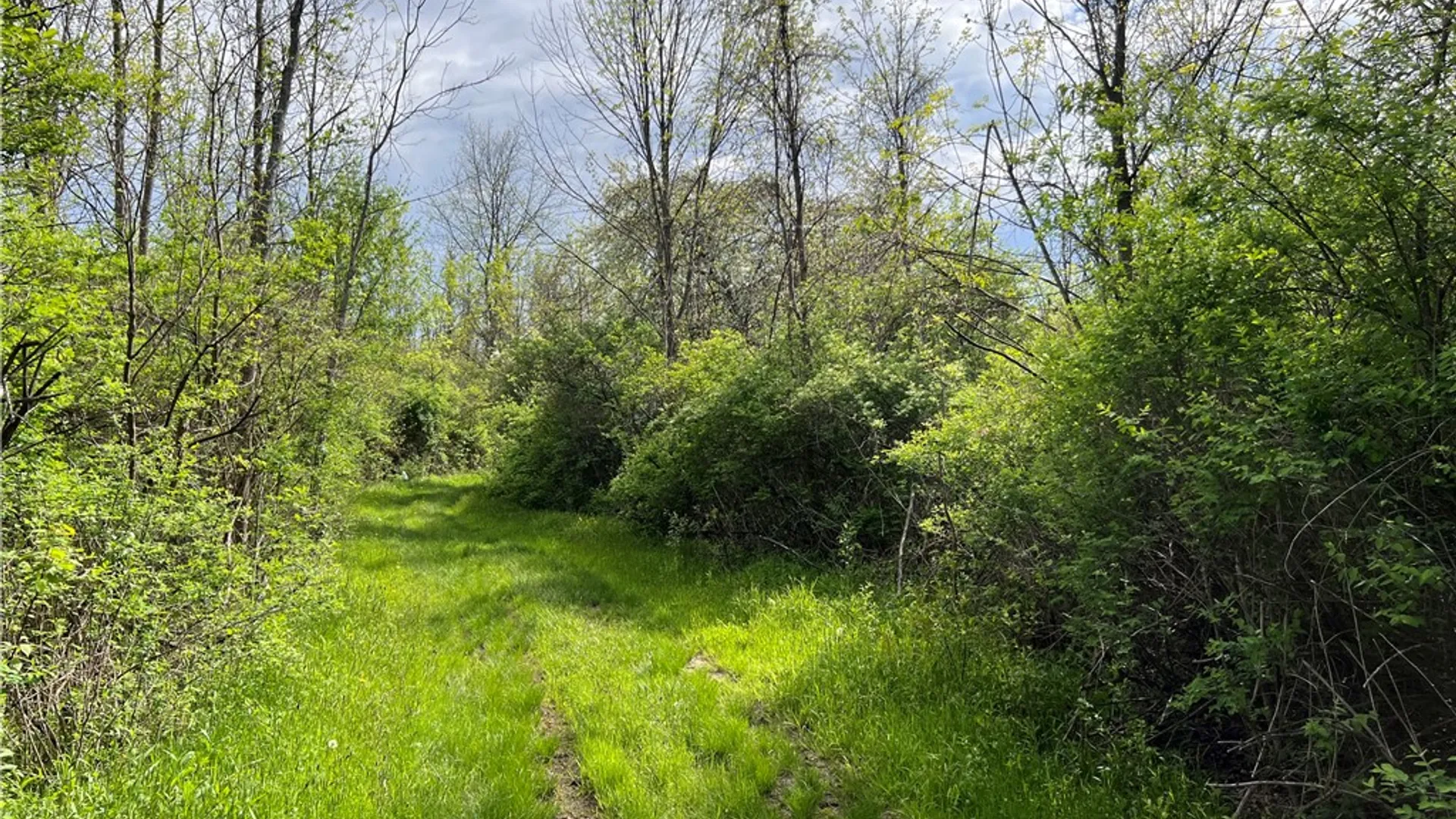 Property at 200 Burritt Road, Parma, NY 14468 9