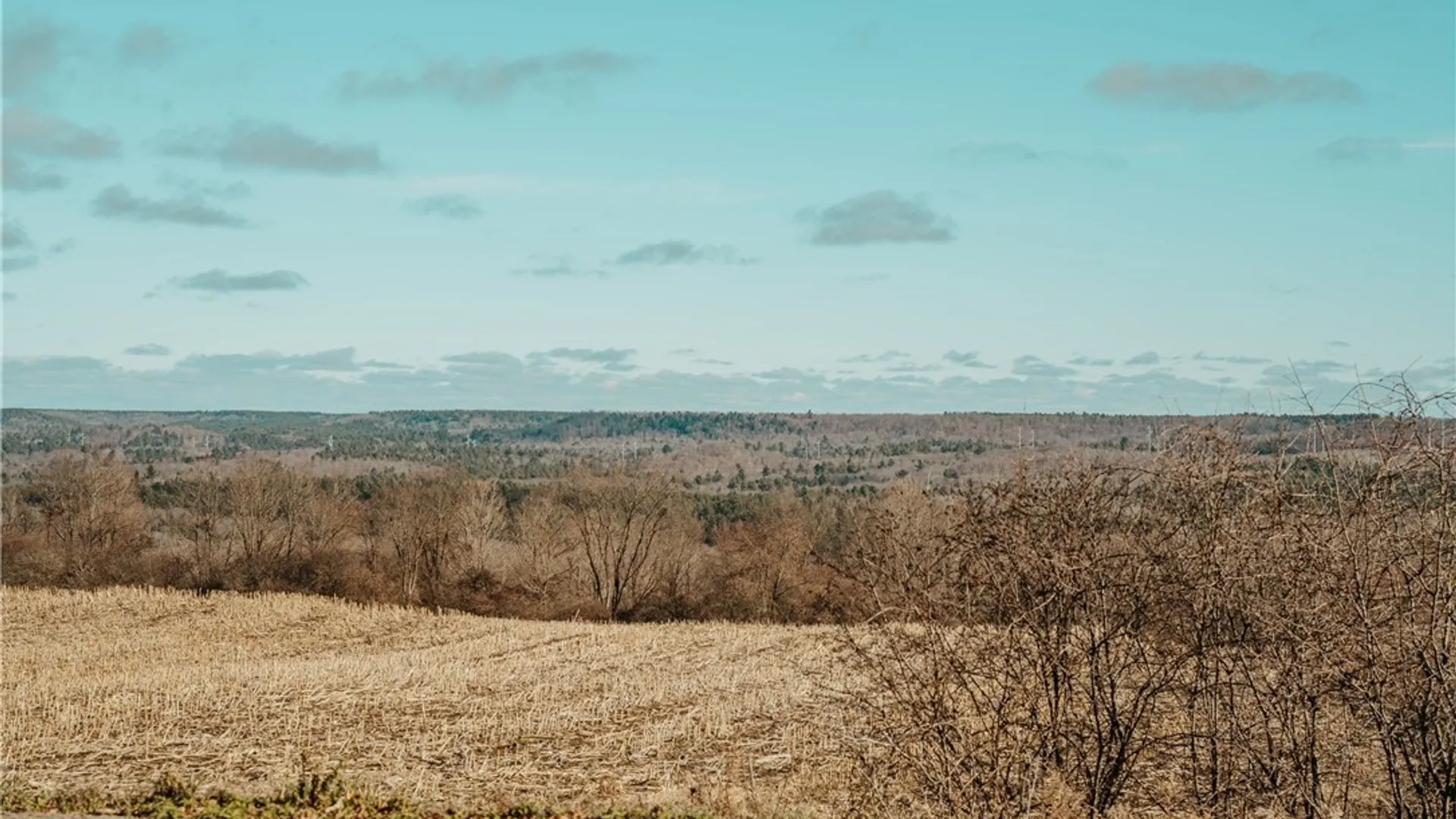 Property at Lot 3 East Road, Leyden, NY 13343 4