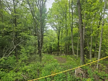 Property at 2049 State Route 245, Italy, NY 14512