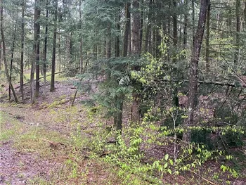 Rome-Taberg Road, Annsville, NY 13471