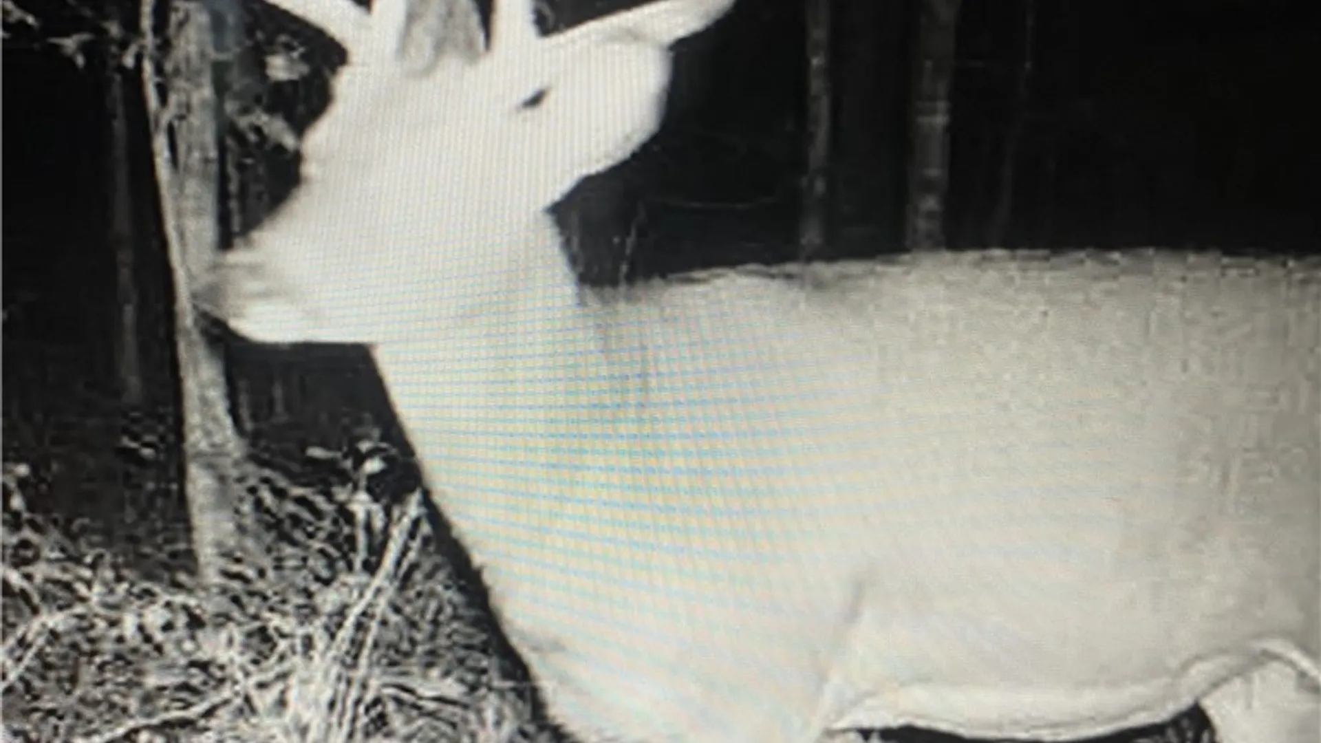 Property at Rome-Taberg Road, Annsville, NY 13471 2