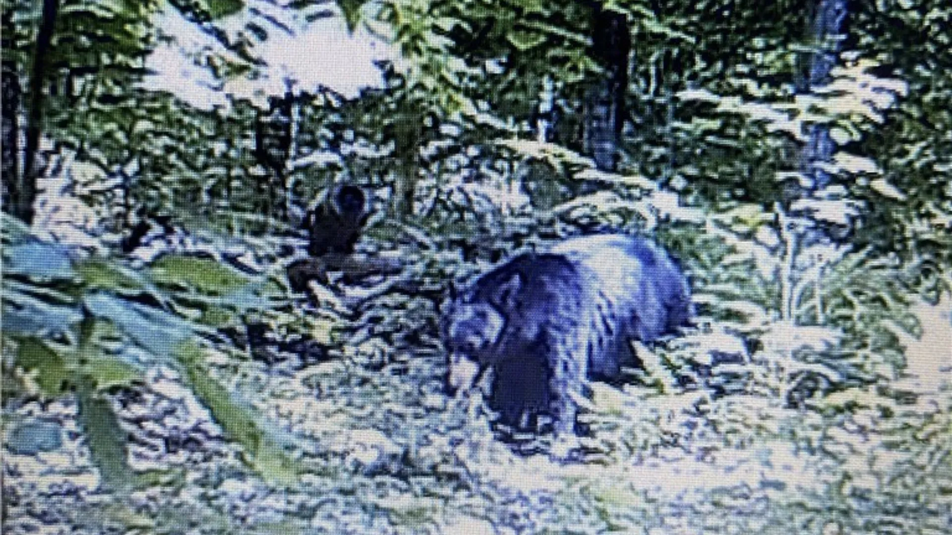 Property at Rome-Taberg Road, Annsville, NY 13471 3