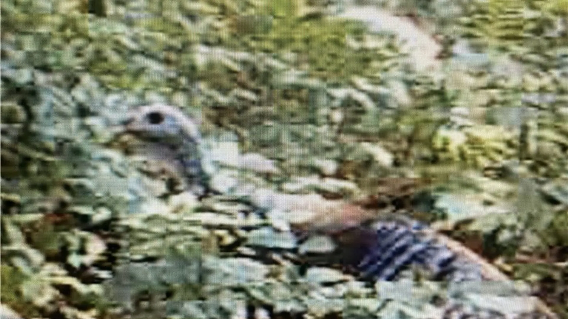 Property at Rome-Taberg Road, Annsville, NY 13471 4