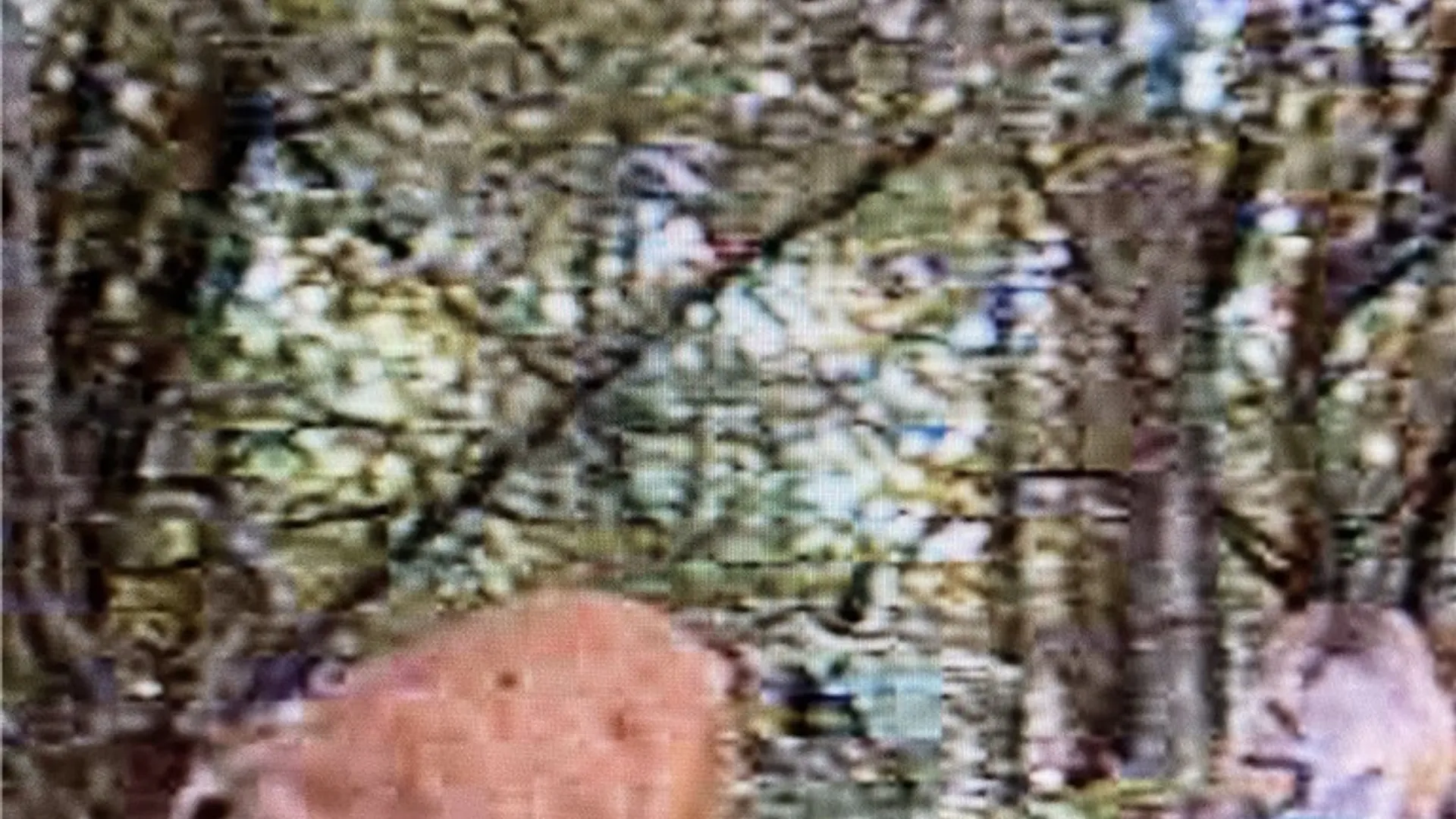 Property at Rome-Taberg Road, Annsville, NY 13471 5