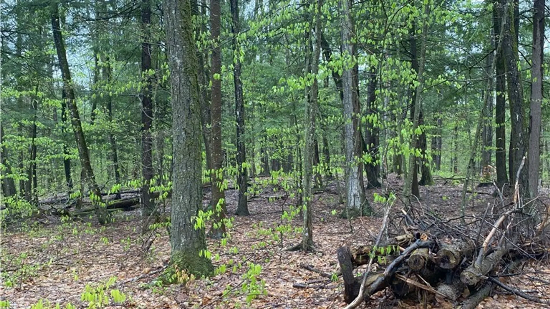 Property at Rome-Taberg Road, Annsville, NY 13471 6