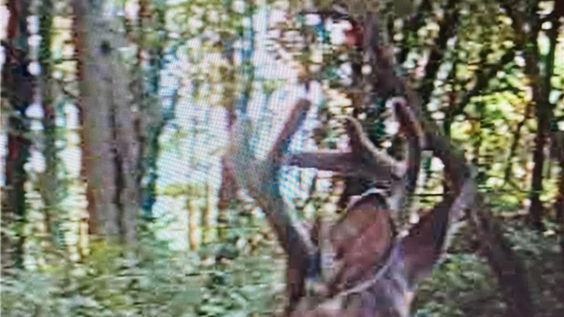 Property at Rome-Taberg Road, Annsville, NY 13471 9