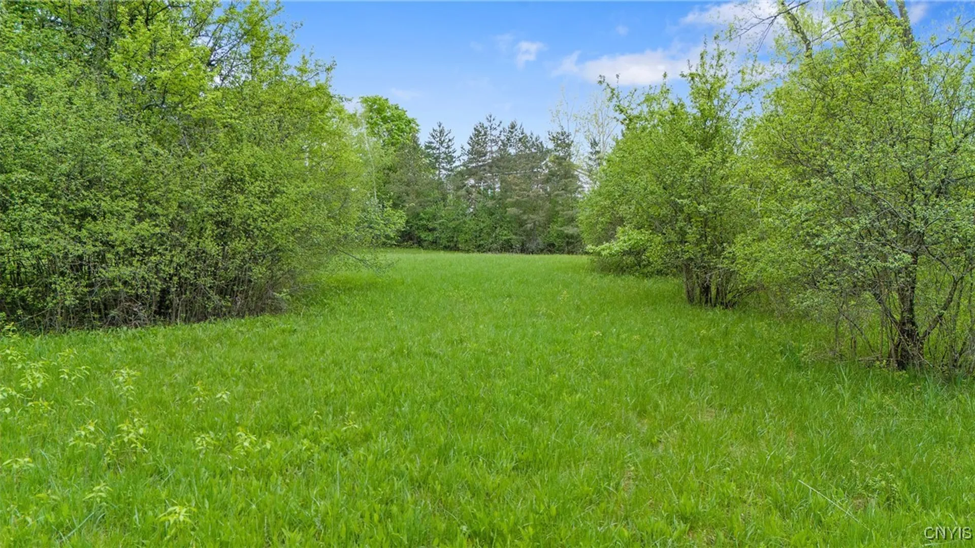 Property at 6002 Sewickley Drive, DeWitt, NY 13078 5