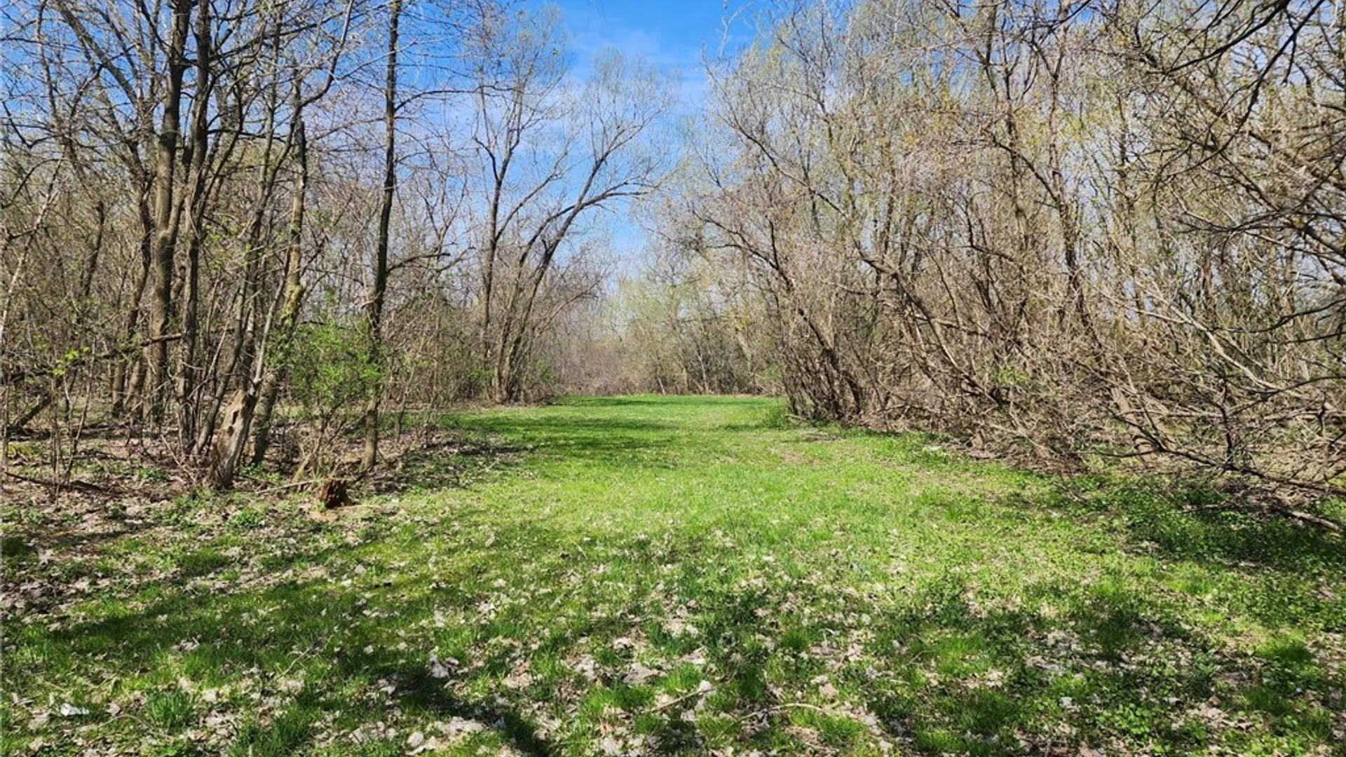 Property at 0 Lincoln Street, Watertown City, NY 13601 4