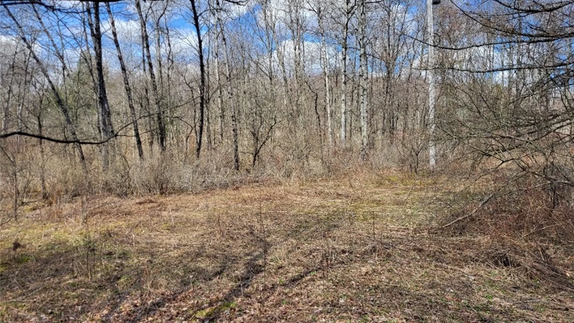 Property at Lot 14.1 Joe Road, Lincklaen, NY 13155 6