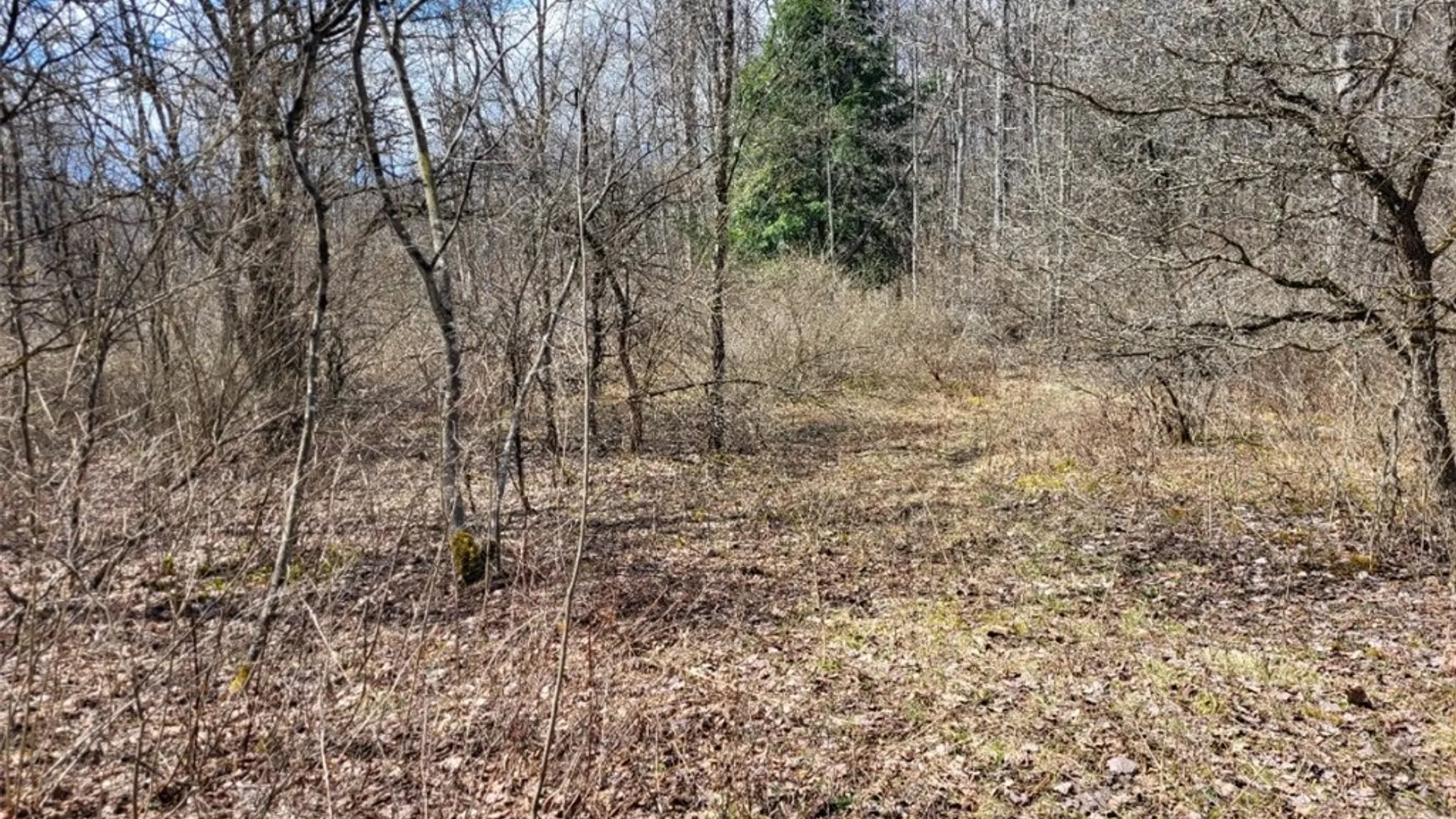 Property at Lot 14.1 Joe Road, Lincklaen, NY 13155 8