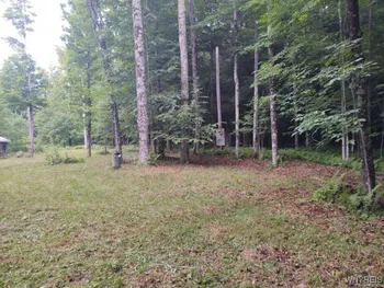 Property at 449 Wood Road, Harpersfield, NY 12093