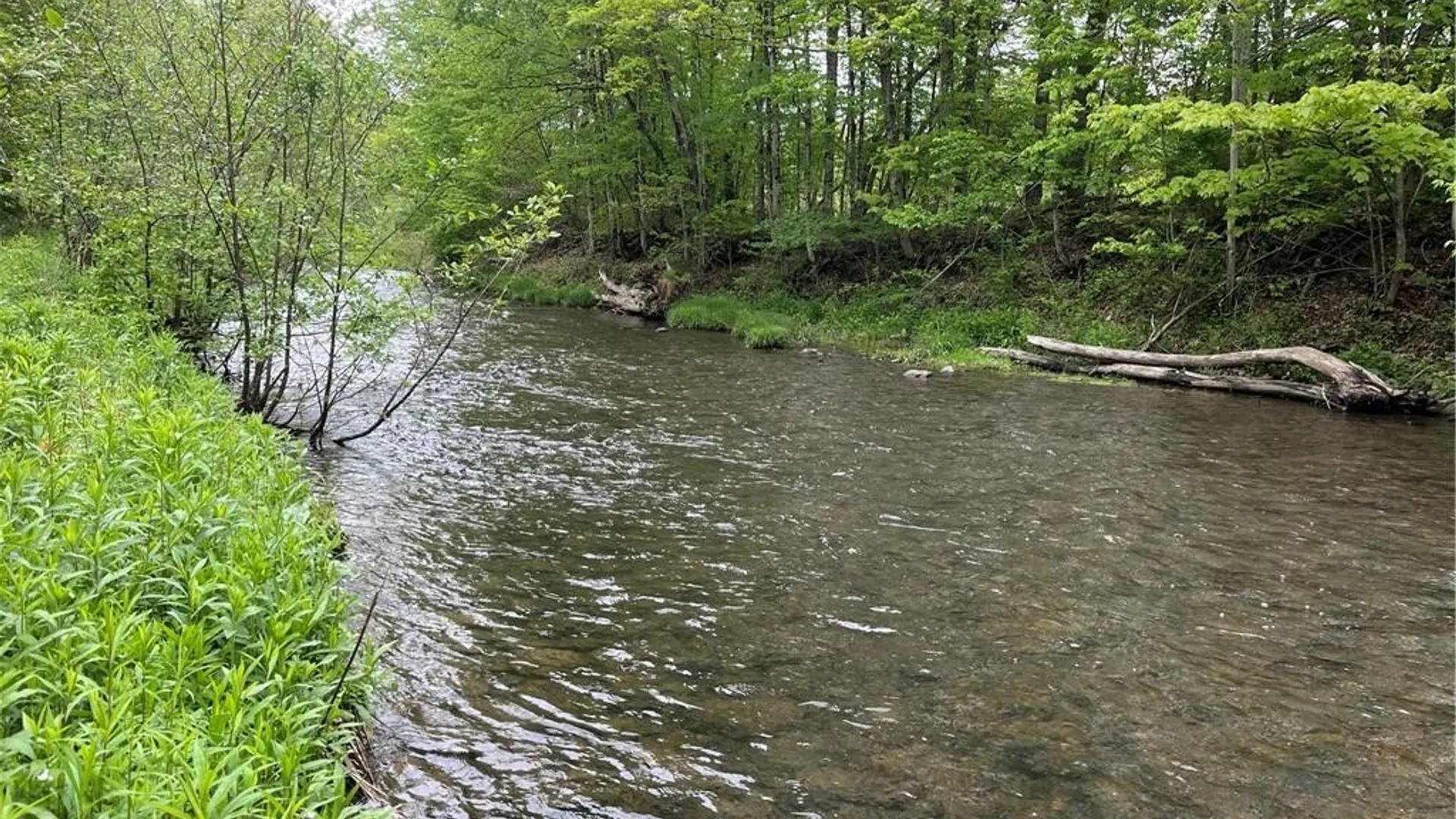 Property at 1217 County Highway 34, Westford, NY 12155 4