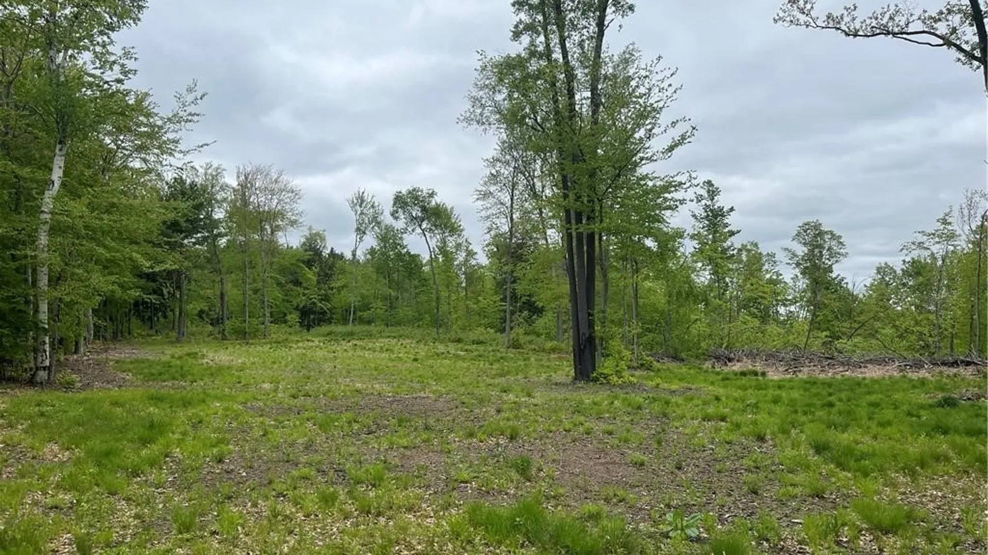 Property at 1217 County Highway 34, Westford, NY 12155 45