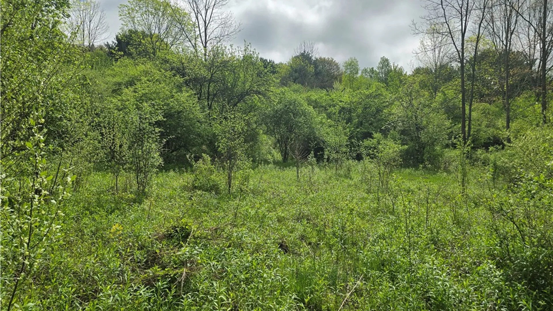 Property at 0 Ruttin Rd Road, Scio, NY 14880 11