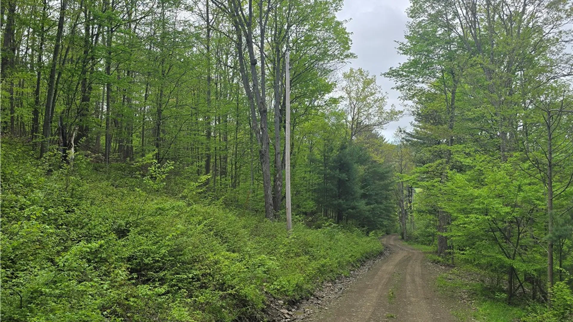 Property at 0 Ruttin Rd Road, Scio, NY 14880 13