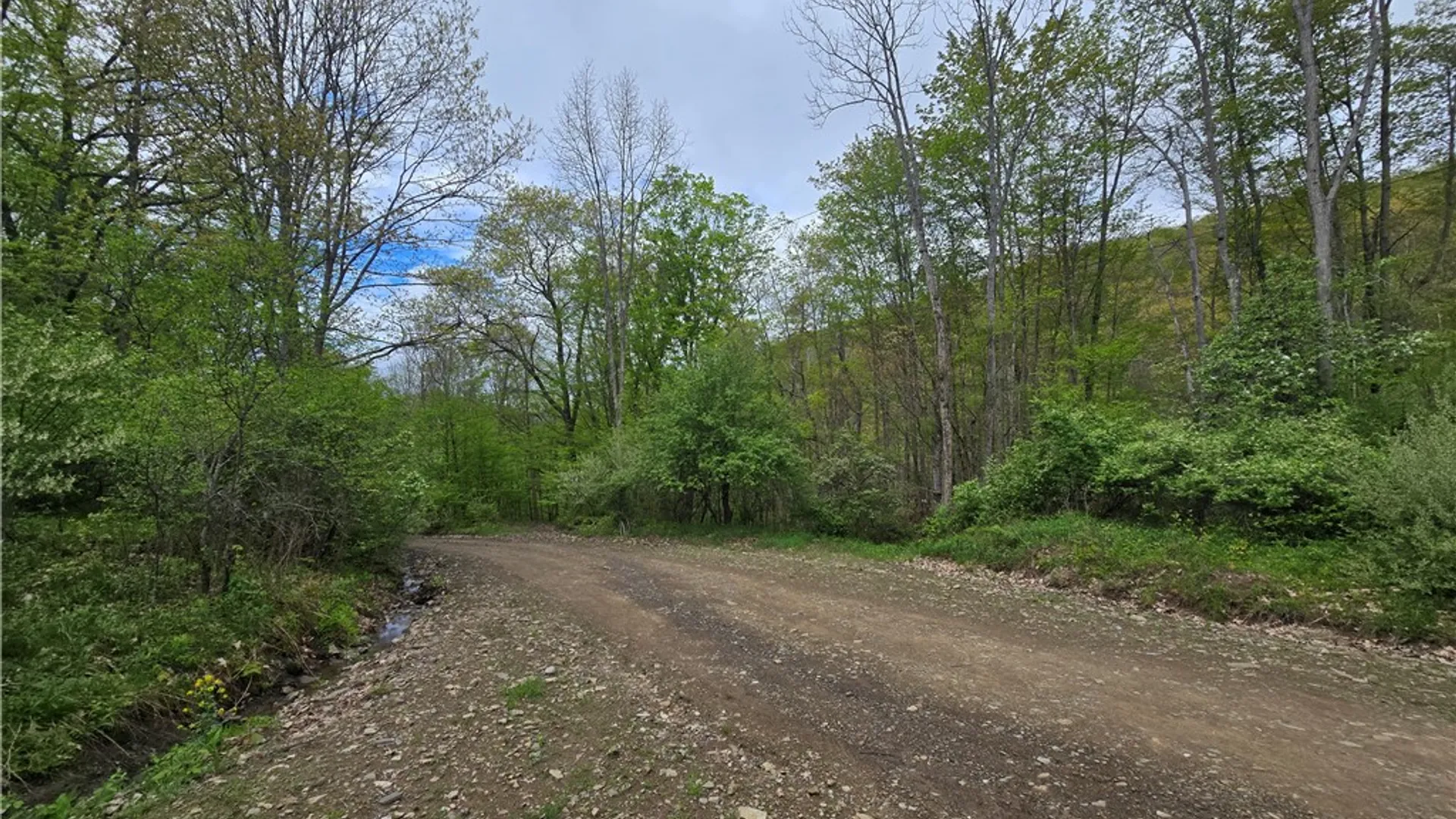 Property at 0 Ruttin Rd Road, Scio, NY 14880 15