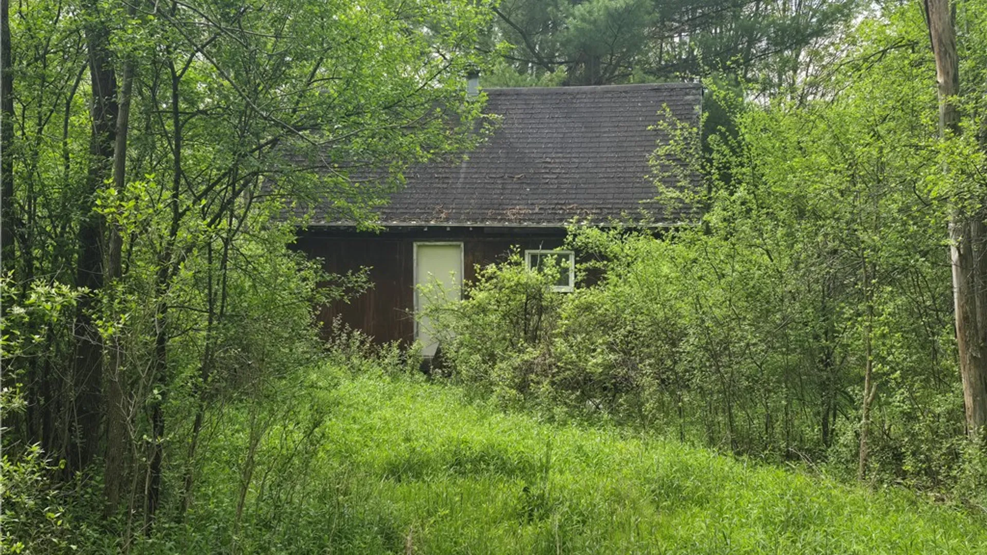 Property at 0 Ruttin Rd Road, Scio, NY 14880 16