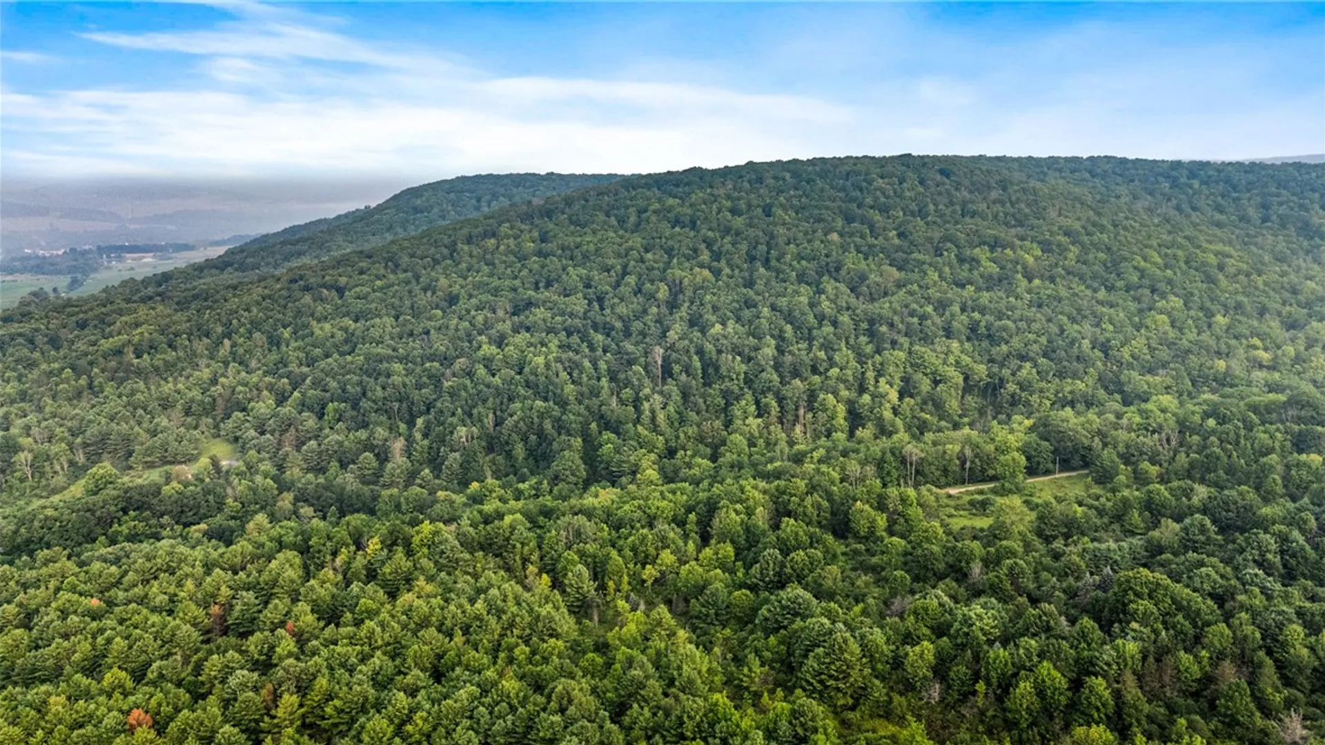Property at 0 Ruttin Rd Road, Scio, NY 14880 18