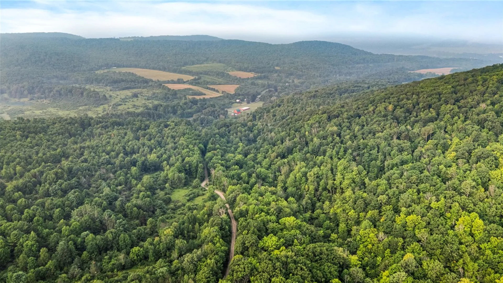 Property at 0 Ruttin Rd Road, Scio, NY 14880 21