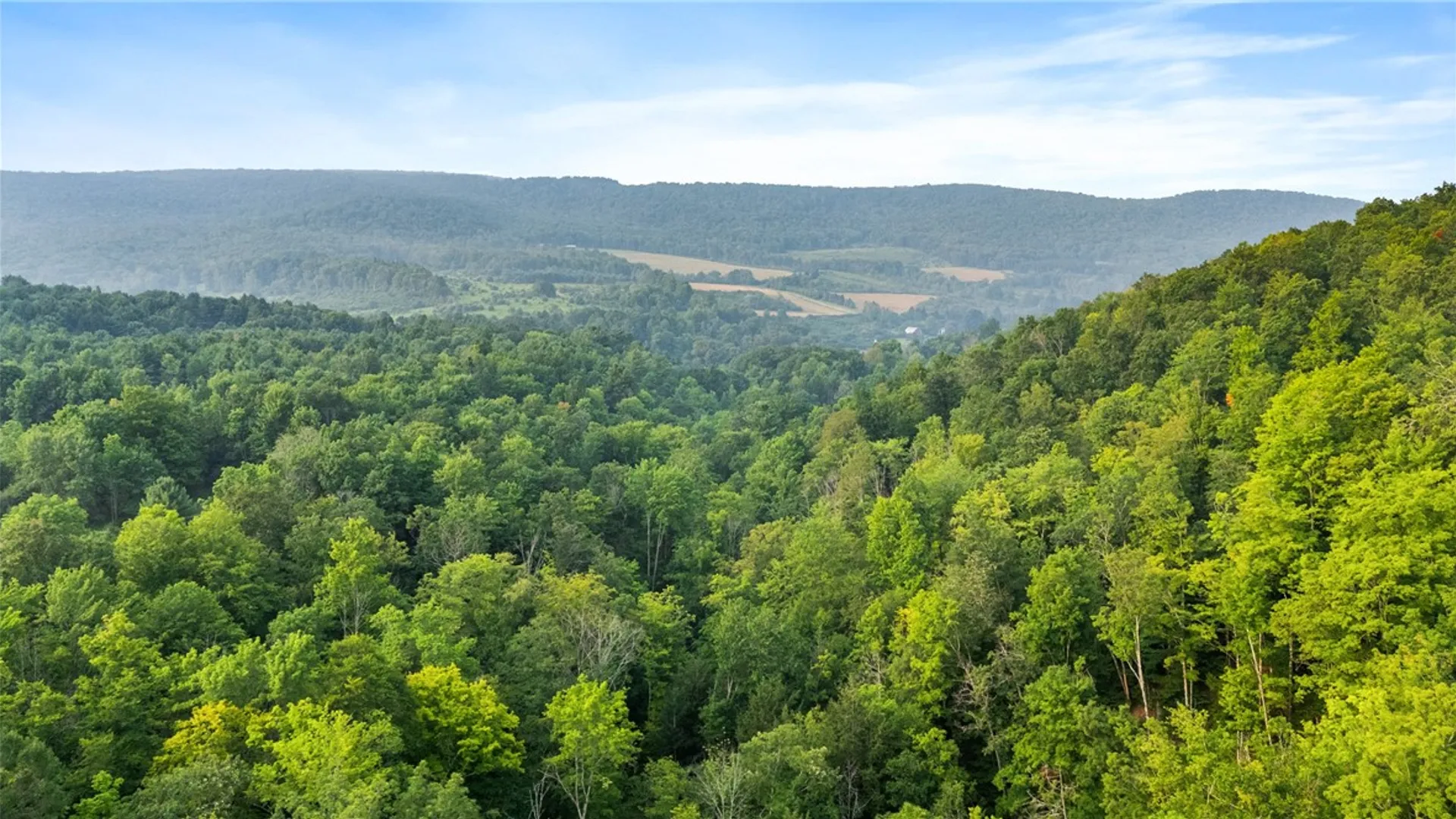 Property at 0 Ruttin Rd Road, Scio, NY 14880 26