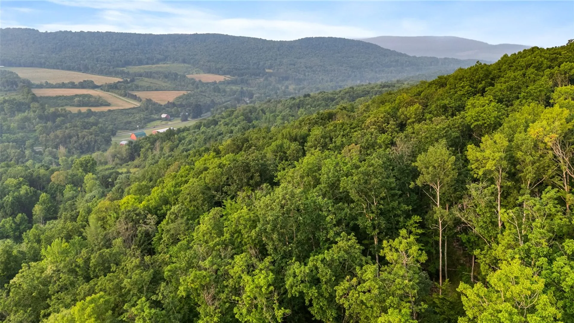 Property at 0 Ruttin Rd Road, Scio, NY 14880 27