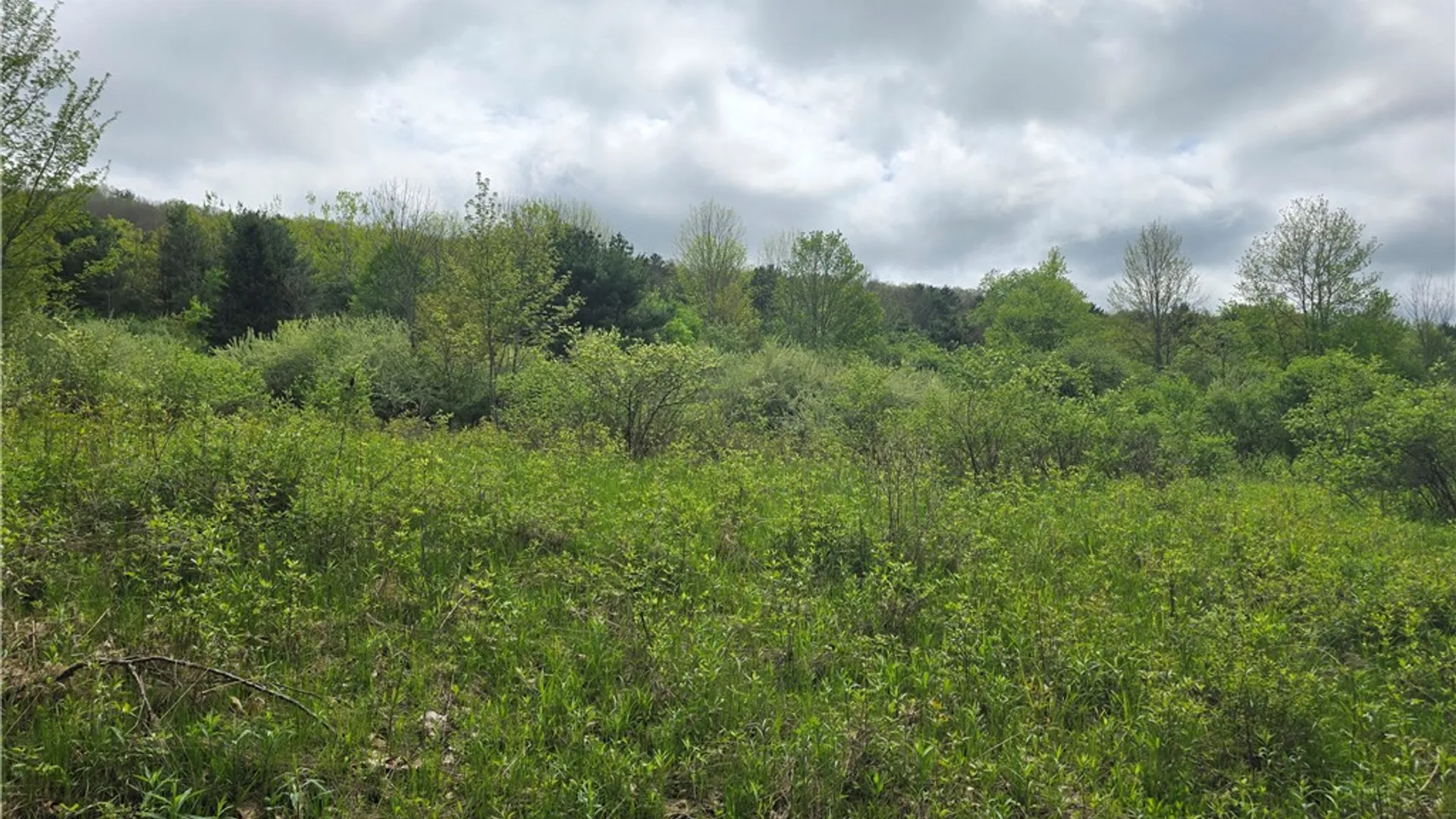 Property at 0 Ruttin Rd Road, Scio, NY 14880 6