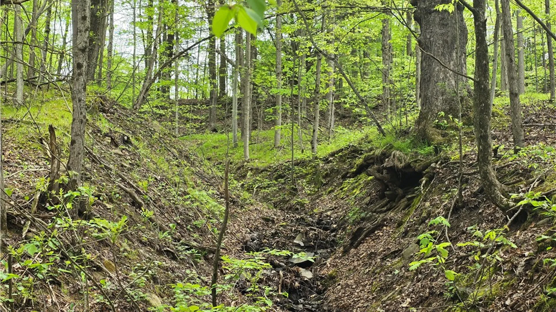 Property at 0 Ruttin Rd Road, Scio, NY 14880 8